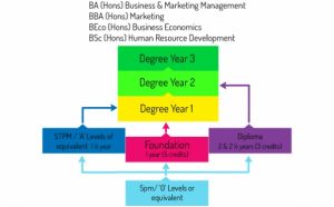 Academic Path for Diploma in Business Administration
